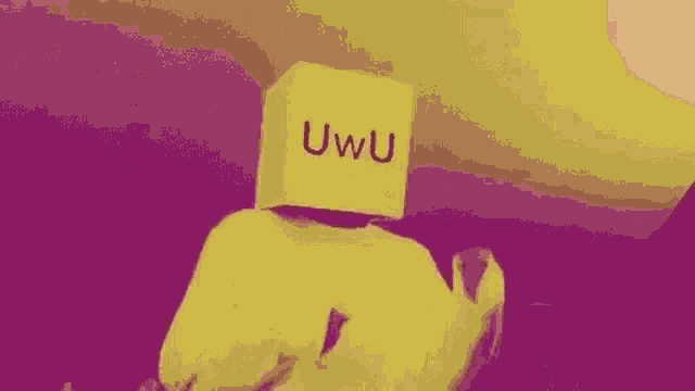 a person with a cardboard box on their head that says uwu .