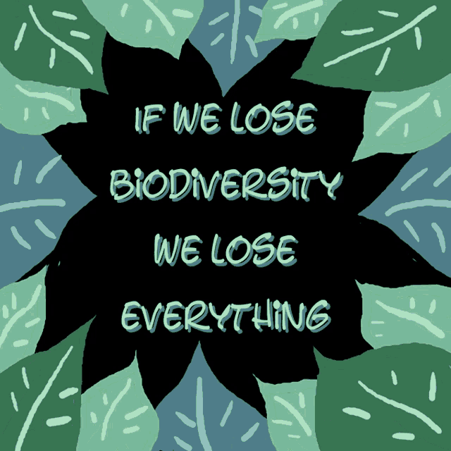 if we lose biodiversity we lose everything is written on a black background