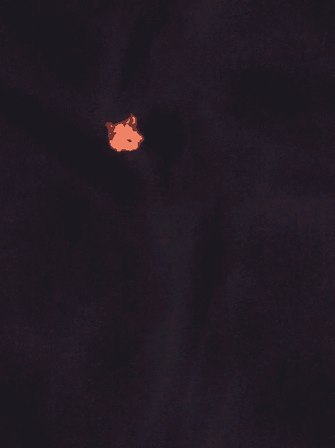 a black background with a red object in the middle of it