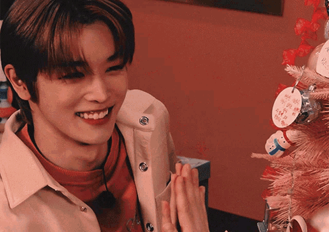 a man is smiling in front of a pink christmas tree with a tag that says ' christmas ' on it