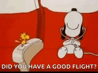 snoopy and woodstock are sitting on a red couch on an airplane .