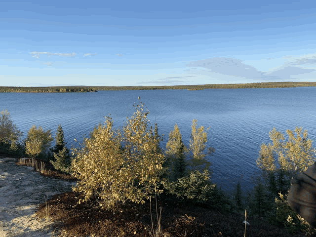 a large body of water with trees in the foreground and a blue sky in the background