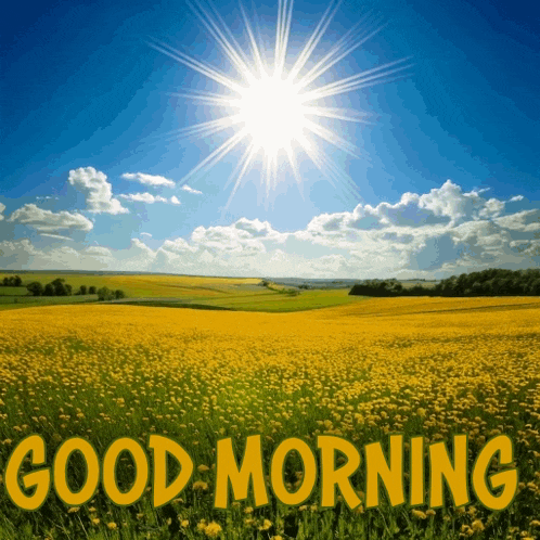 a picture of a field of yellow flowers with the words good morning written in yellow