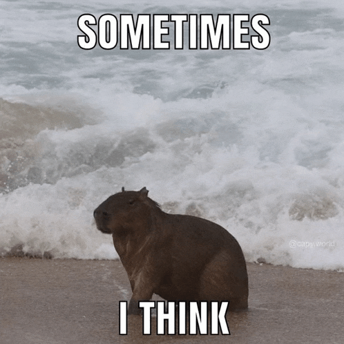 a picture of a capybara on a beach with a caption that says sometimes i think