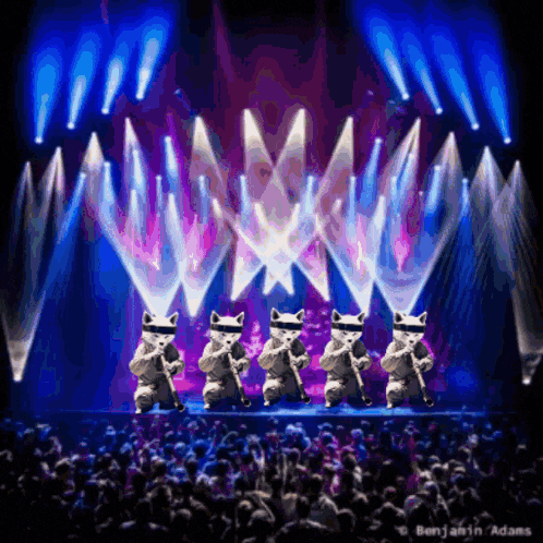 a group of cats are playing instruments on a stage