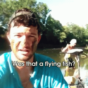 Yes, Yes It Was. GIF - Flying Fish Attack Fly GIFs