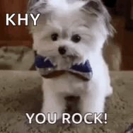 Yourock Highfive GIF - Yourock Highfive Awesome GIFs