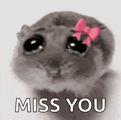 a cat with a pink bow on its head is saying `` miss you '' .