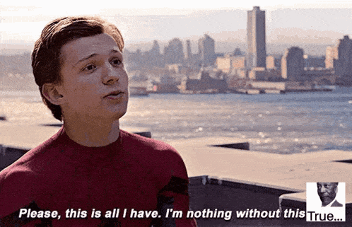 a man in a spiderman suit says please this is all i have i 'm nothing without this true ..