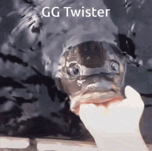 Fish Eating GIF - Fish Eating Twister GIFs