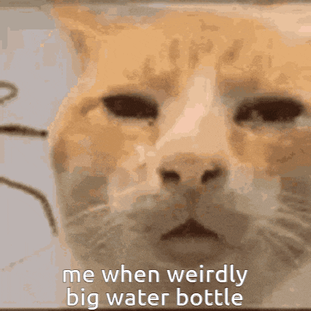 a close up of a cat 's face with the words " me when weirdly big water bottle " below it