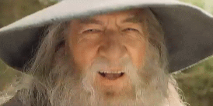 Gandalf Approves GIF - GIFs