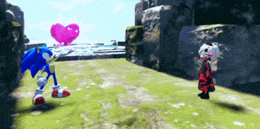 sonic the hedgehog and amy rose are in a video game scene