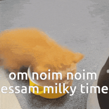 a cat is eating out of a yellow bowl with the words " om noim noim essam milky time " above it