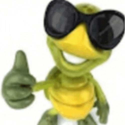 the turtle is wearing sunglasses and giving a thumbs up .