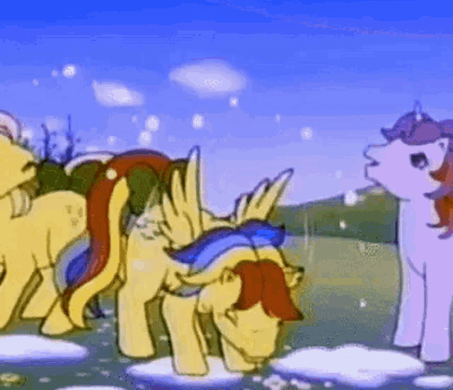 a group of ponies standing next to each other in a field .