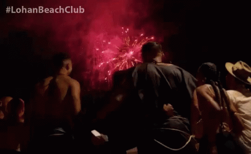 Fireworks Party GIF - Fireworks Party Friends GIFs