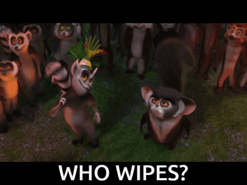Who Wipes Madagascar GIF - Who Wipes Madagascar Penguins Of Madagascar GIFs