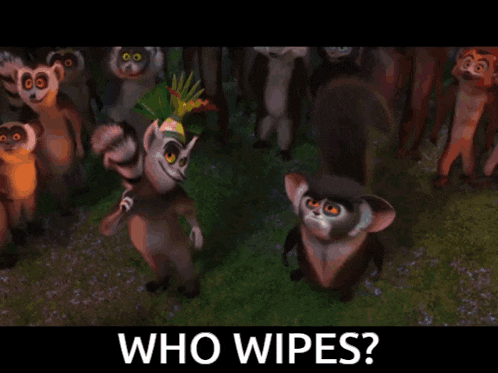 a group of lemurs and squirrels are standing in a field with the words " who wipes " below them