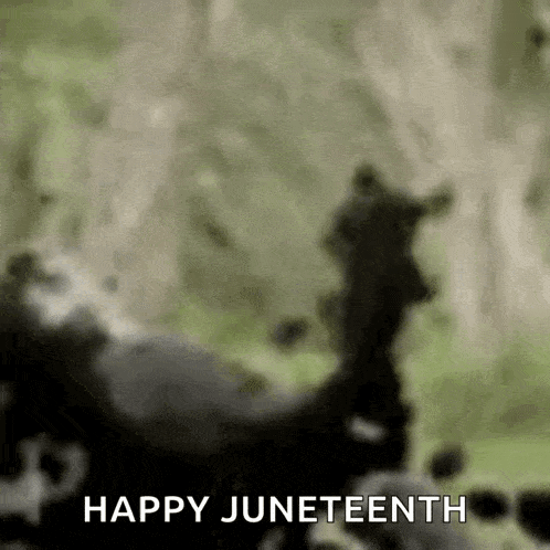 a blurred image of a person standing in the woods with the words `` happy juneteenth '' written on it .