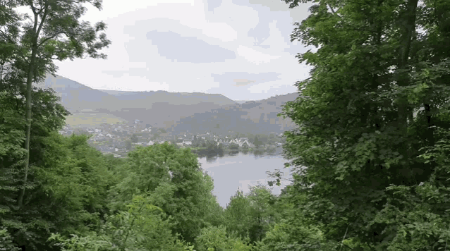 a lake surrounded by trees and mountains with a small town in the distance