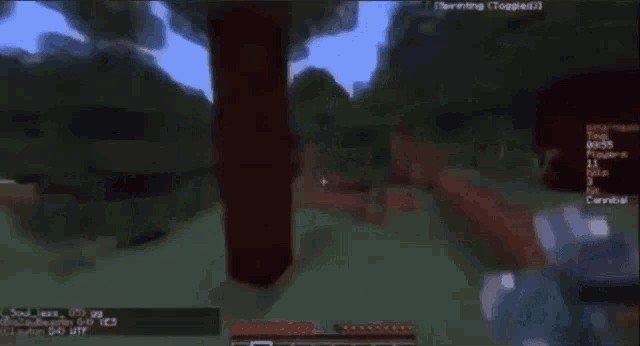 a screenshot of a minecraft game shows a player named soul jass
