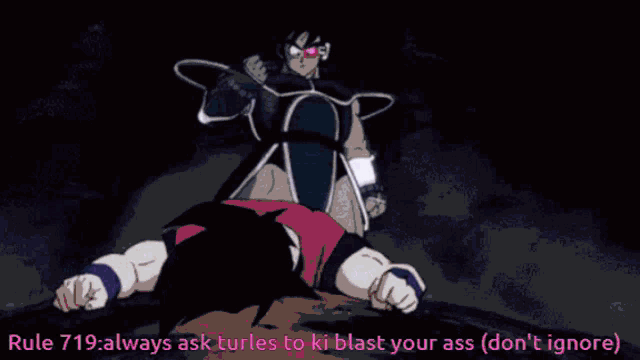 rule 719 always ask turles to ki blast your ass do n't ignore
