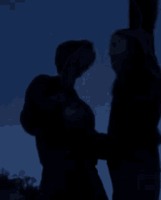 a silhouette of a man holding a woman in his arms .