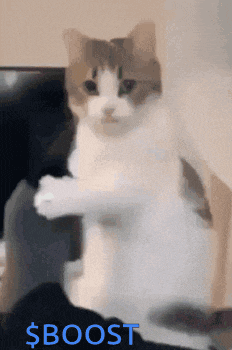 a cat is standing on its hind legs and the word boost is on the bottom of the image