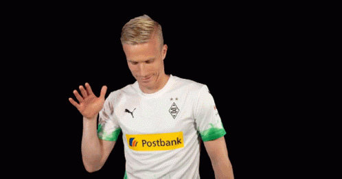 Oscar Wendt Borussia GIF - Oscar Wendt Wendt Borussia GIFs