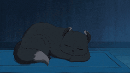 a black cat is laying on a blue rug