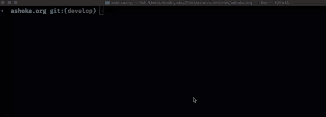 a screenshot of a computer screen that says ashoka.org git
