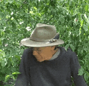 a man wearing a hat with a feather on it stands in front of a tree
