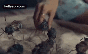 a person is playing with a group of ants made out of yarn .