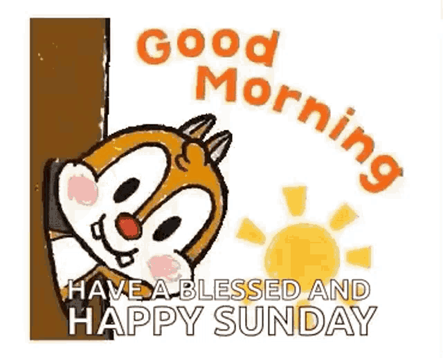 Morning Good Morning GIF