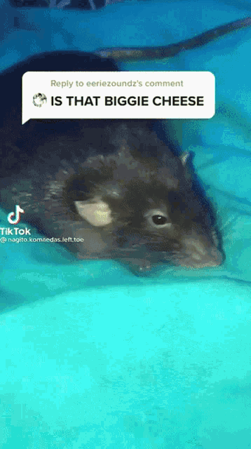 Biggie Cheese Pure Floppa GIF - Biggie Cheese Pure Floppa Swag Rat GIFs