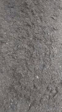 Middle Finger Grow GIF - Middle Finger Grow Soil GIFs