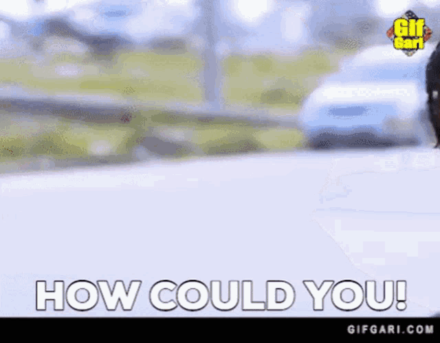 a dog is walking down the street and says how could you !