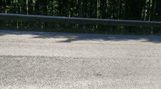 a road with trees in the background and a metal railing on the side