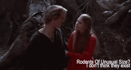 Princess Bride Rodents Of Unusual Size GIF - Princess Bride Rodents Of Unusual Size What GIFs
