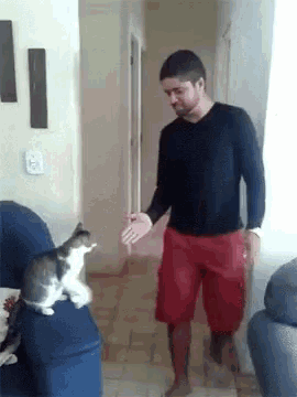 a man in a black shirt and red shorts is standing next to a cat on a couch