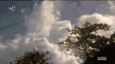 a tv8 screen shows a tree in the foreground and a cloudy sky in the background