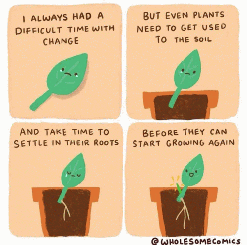 Wholesome Plants GIF - Wholesome Plants Memes GIFs