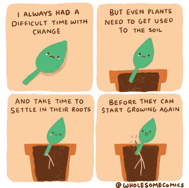 a cartoon shows a plant growing in a pot and says that plants need to get used to the soil