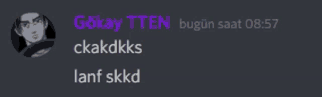 a screenshot of a discord conversation between gokay ttn and ckakdkks