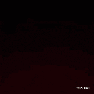 a blurry picture of a woman 's face with the words vivavideo in the bottom right corner