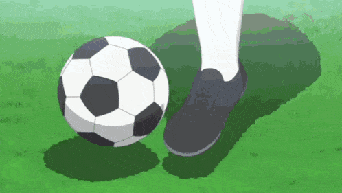 a person is kicking a soccer ball on a field with their foot .