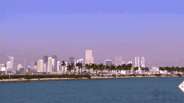 a large body of water with palm trees and buildings in the background
