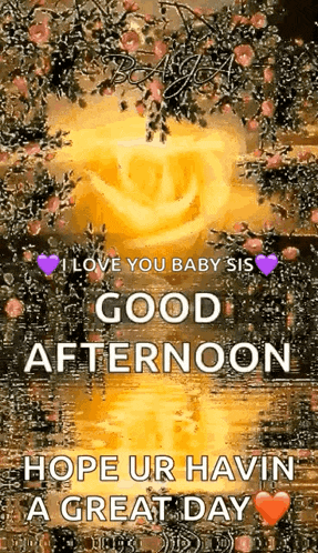 i love you baby sis good afternoon hope ur having a great day