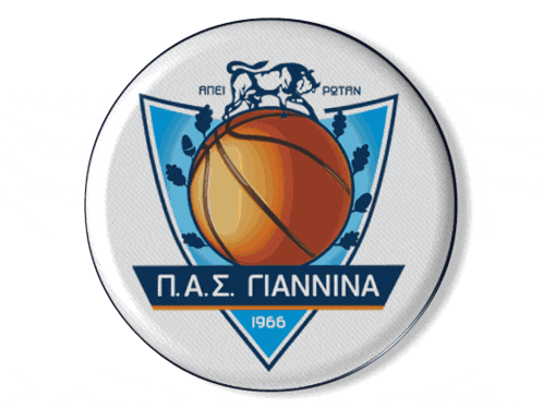 a button with a basketball on it and the year 1966